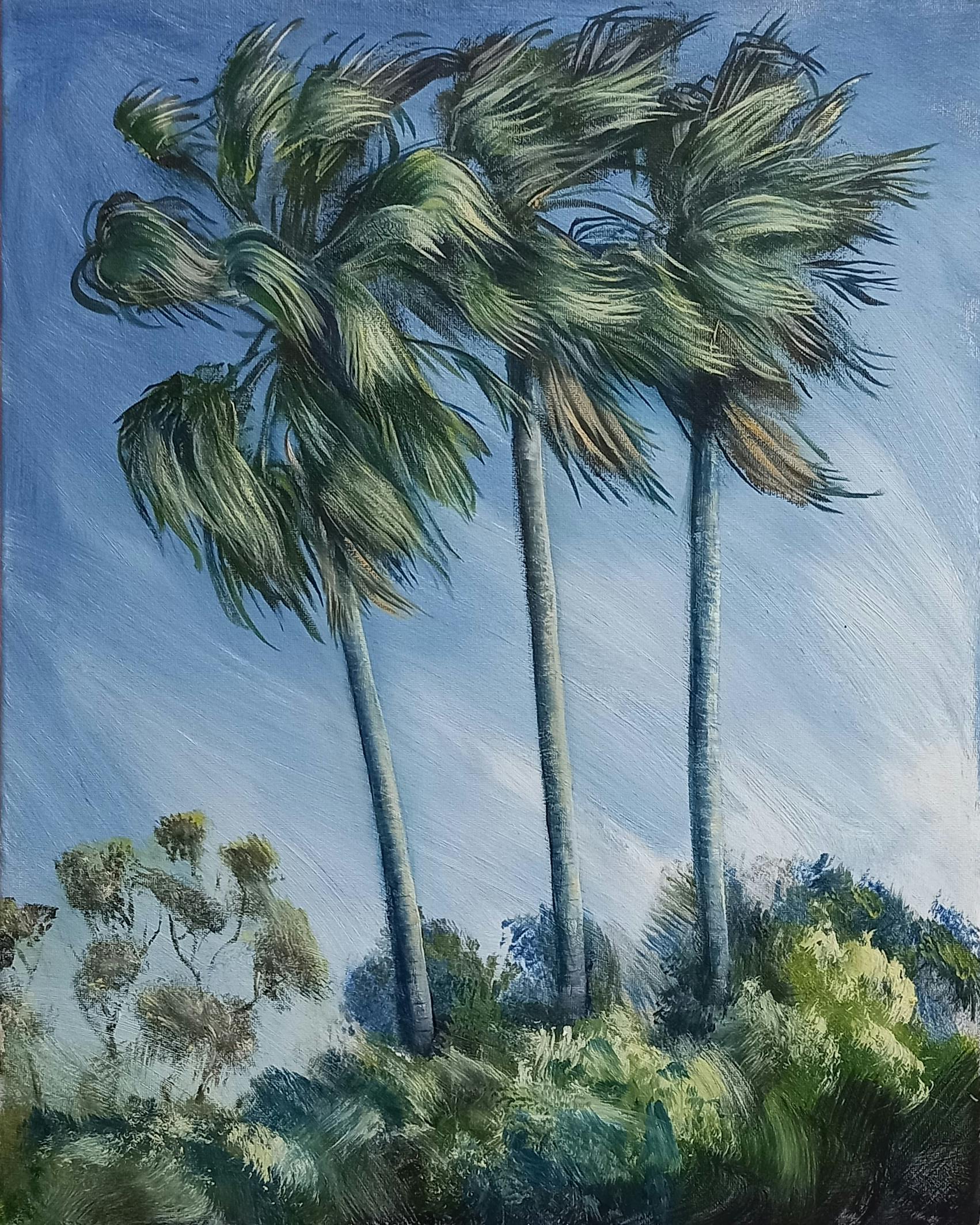 Three suburban palms